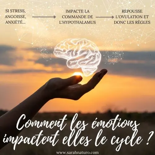 les émotions peuvent rendre les cycles irréguliers les émotions peuvent rendre les cycles irréguliers