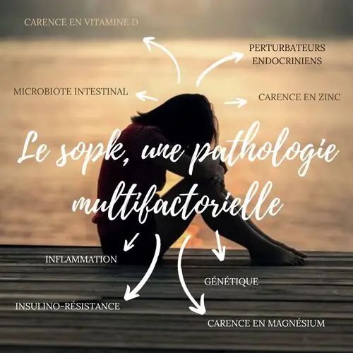 les différentes causes du sopk en résumé les différentes causes du sopk en résumé