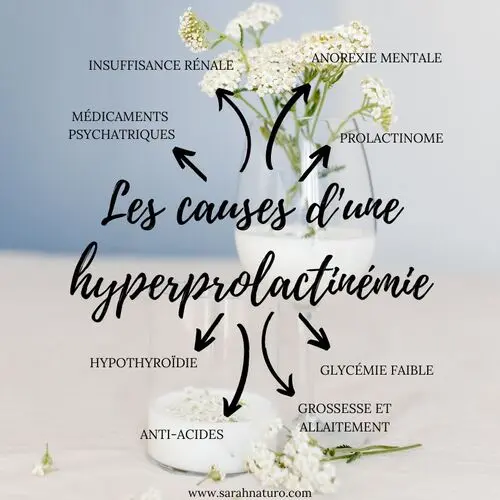 Les différentes causes possibles qui expliquent un excès de prolactine Les différentes causes possibles qui expliquent un excès de prolactine