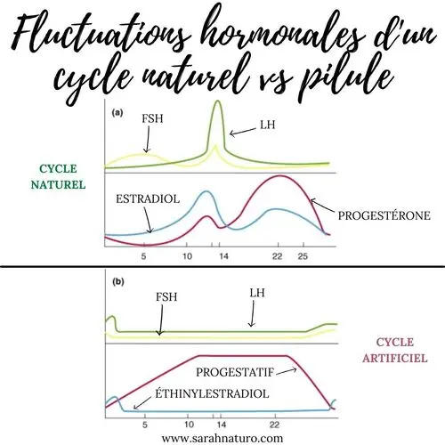 cycle naturel vs sous pilule-min cycle naturel vs sous pilule-min