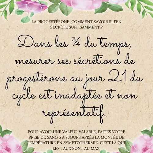 2 copie 3-min 2 copie 3-min