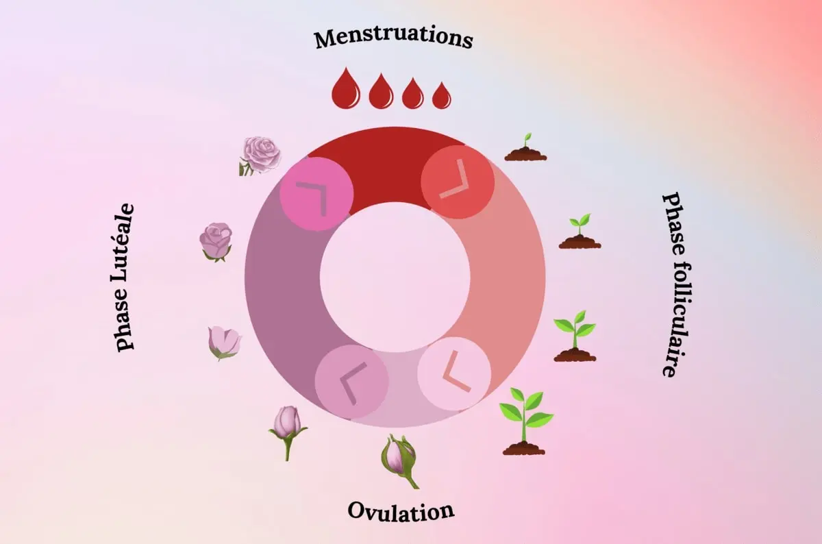 Illustration d’une roue pour suivre son cycle menstruel représentant les quatre phases : règles avec une goutte de sang, phase folliculaire avec une feuille qui pousse, ovulation symbolisée par un bouton de rose, lutéale par la fleure qui éclot.