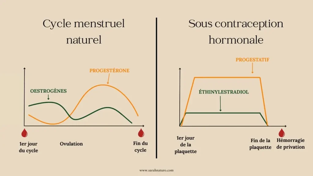 Graphique comparatif montrant la fluctuation des hormones dans un cycle menstruel naturel (œstrogènes et progestérone) et la stabilité artificielle des hormones sous pilule (éthinylestradiol et progestatif). Illustration pour expliquer pourquoi il est impossible de suivre son cycle menstruel sous contraception hormonale.