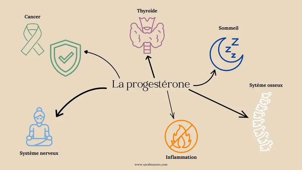 Illustration montrant les différents rôles de la progestérone dans le corps féminin : soutien des os, équilibre nerveux, régulation de l’inflammation et protection contre certains cancers. Comprendre ces effets permet d’identifier les conséquences d’un manque de progestérone.