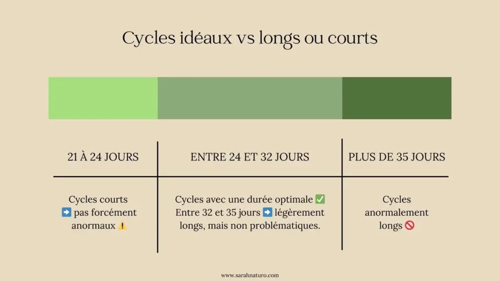 Tableau comparatif des durées de cycles menstruels : cycles courts de 21 à 24 jours, cycles normaux de 24 à 32 jours, cycles longs au-delà de 35 jours, illustrés en dégradé de vert.