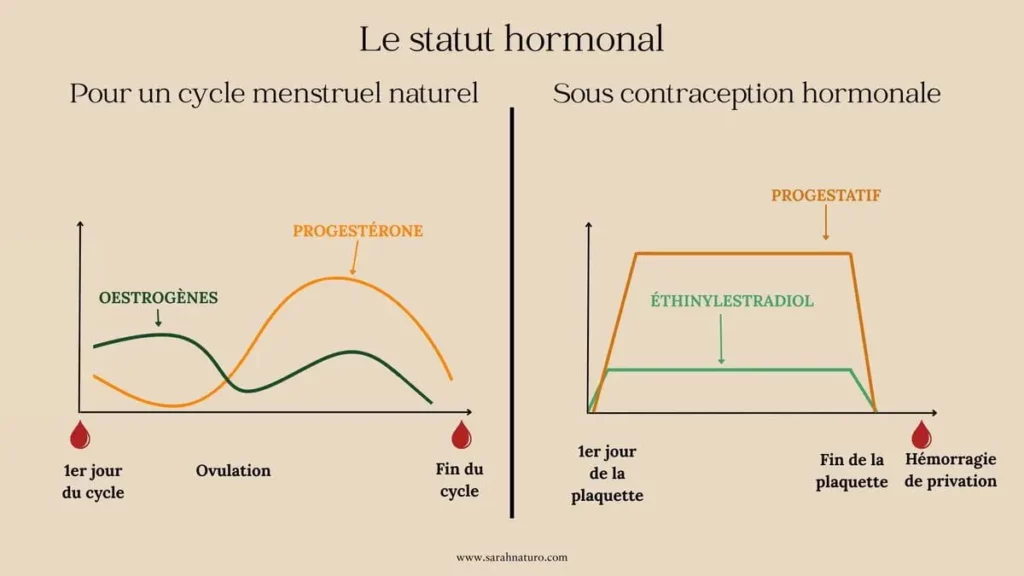 Comparaison des variations hormonales d’un cycle naturel avec ovulation et d’un cycle artificiel sous pilule contraceptive sans ovulation