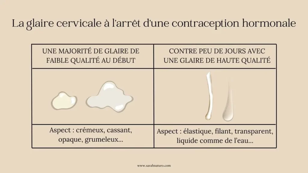 Comparaison de la glaire cervicale en post-pilule entre glaire de faible qualité et glaire fertile élastique et transparente