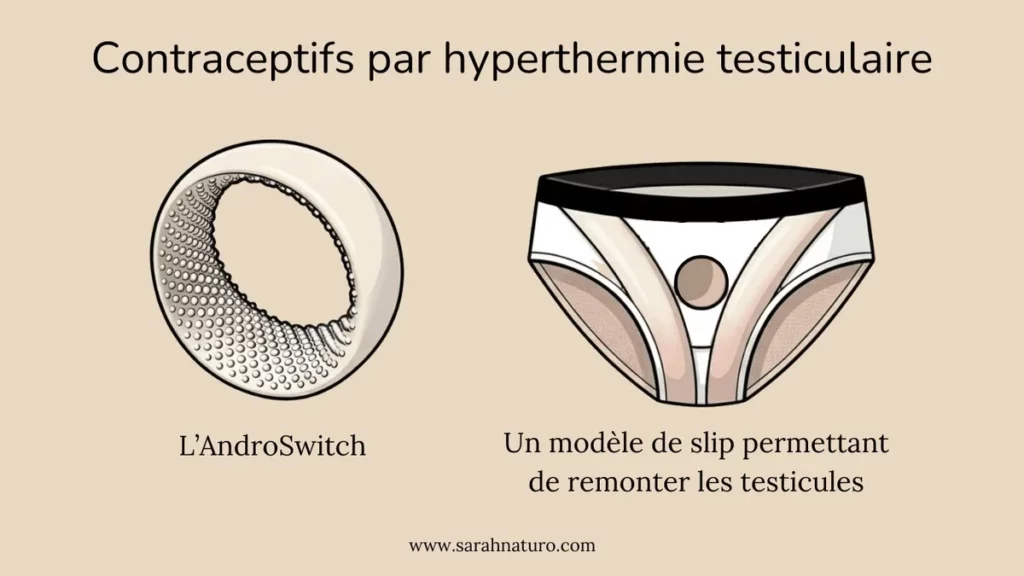 Anneau AndroSwitch et slip contraceptif thermique permettant de remonter les testicules pour réduire la fertilité